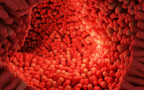 益生菌知識(shí) 益生菌知識(shí)