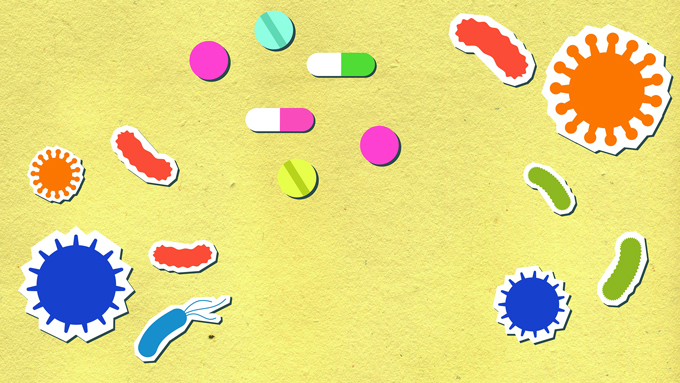 益生菌知識(shí) 益生菌分類